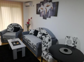  Apartman Andrea  Врнячка Баня